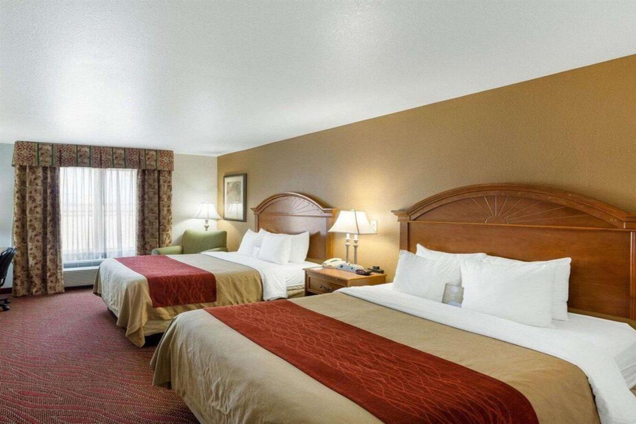 Comfort Inn & Suites Near Medical Center San Antonio Esterno foto