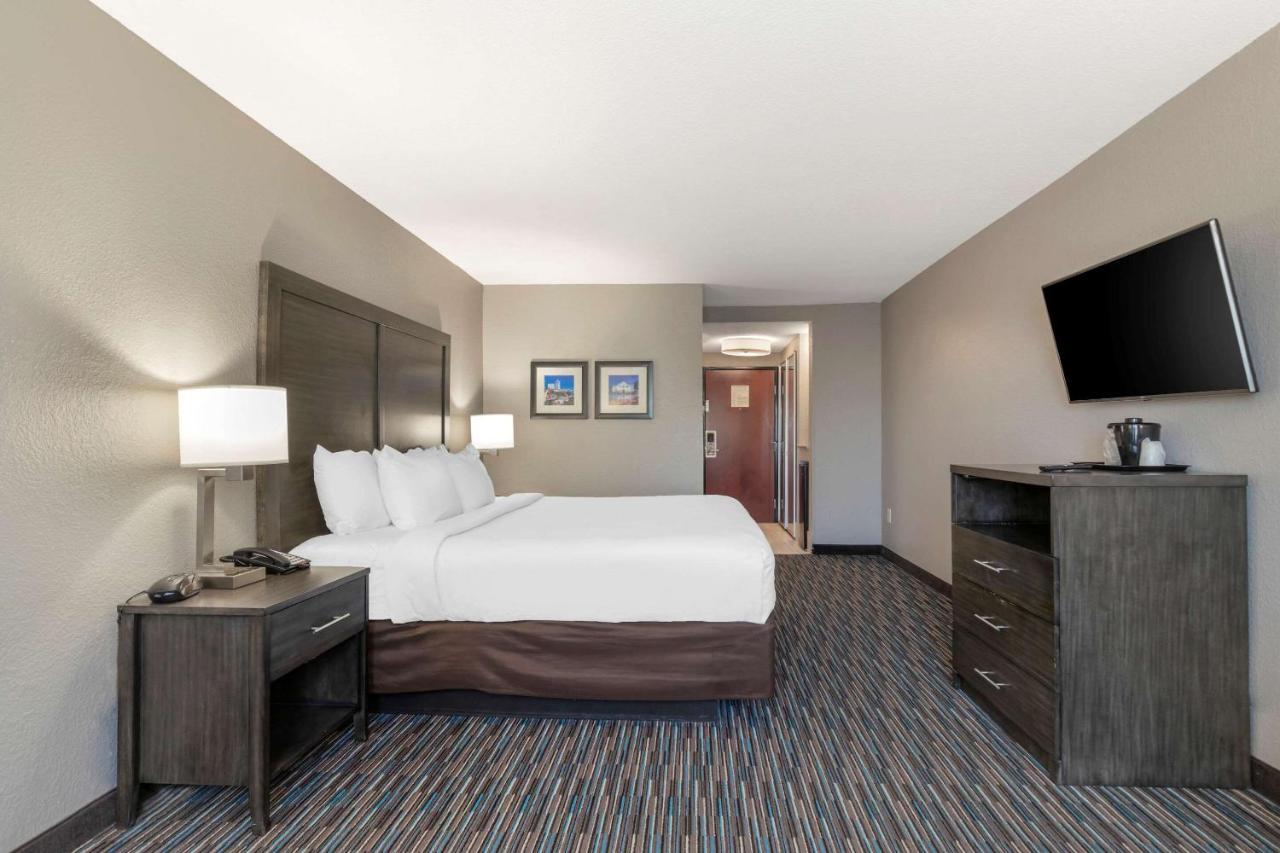Comfort Inn & Suites Near Medical Center San Antonio Esterno foto
