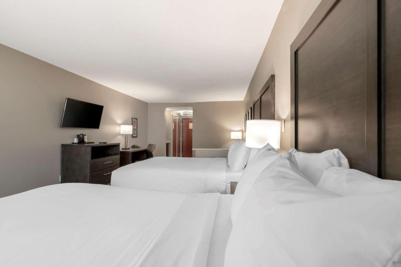 Comfort Inn & Suites Near Medical Center San Antonio Esterno foto