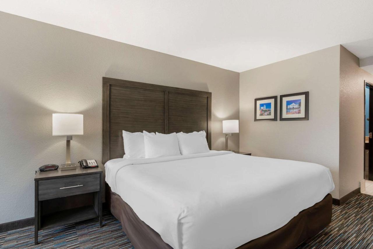 Comfort Inn & Suites Near Medical Center San Antonio Esterno foto